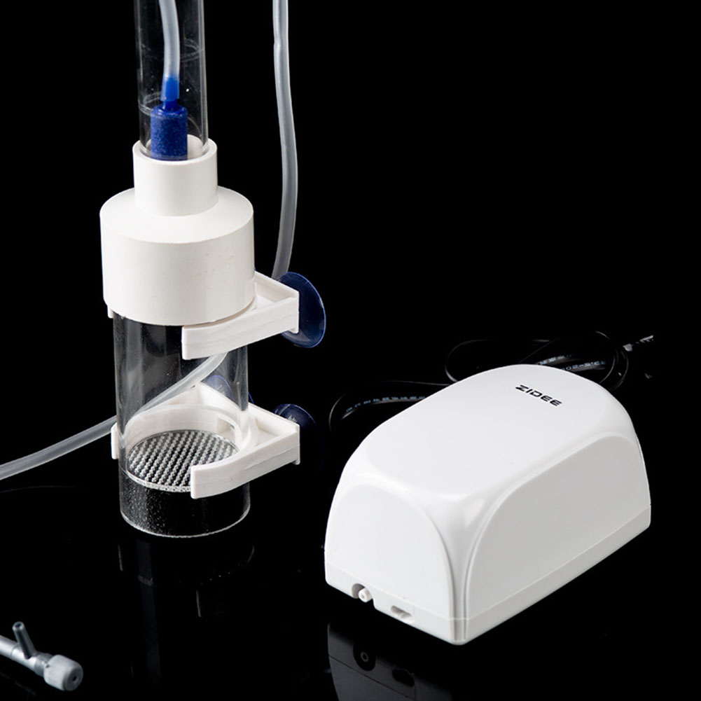 Incubadora de 40 mm para Huevo - Lab Incubator reseña y precio