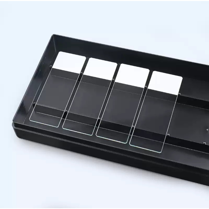 Caja de Humedad Transparente/N - Lab Incubator reseña y precio