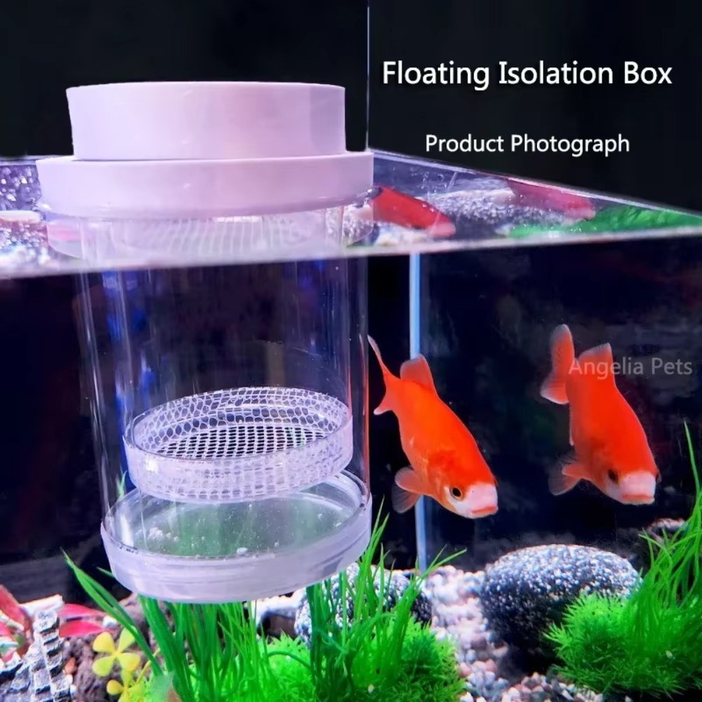 Caja de aislamiento flotante d - Lab Incubator reseña y precio