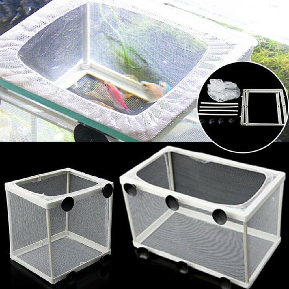 Caja de aislamiento de incubad - Lab Incubator reseña y precio